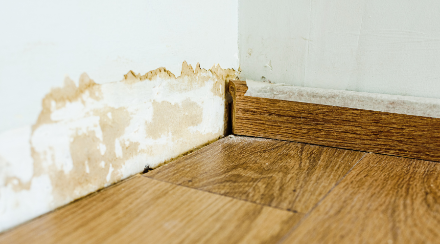 Will Plywood, MDF & Furniture Get Damaged During Monsoon? What Every Indian Homeowner Must Know